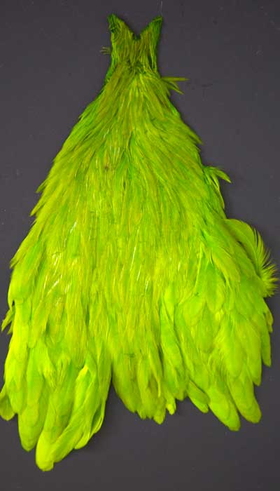 Indian Cock Neck